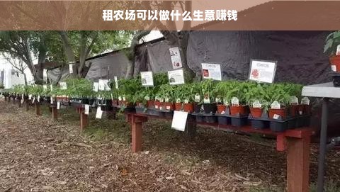 鹿优选额度兑现难题，为什么你的申请总是失败？