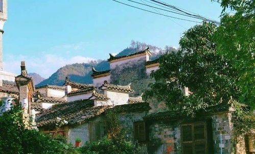 小镇商机无限，农业、旅游、电商与传统手工艺的融合发展，该标题简明扼要地概括了文章内容的核心，涵盖了小镇发展的多个方面，包括农业、旅游、电商和传统手工艺，突出了小镇商机的无限和发展潜力。