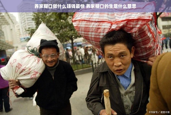 羊小咩便荔卡包额度攻略，如何提升额度并巧妙套出使用？