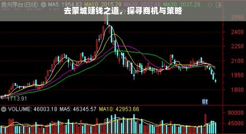 蒙城创业指南，探寻热门商机与成功策略，这个标题简洁明了，突出了核心内容，可以帮助读者快速了解文章内容。