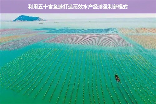 云南咸蛋黄品牌厂家电话，你想知道的都在这里