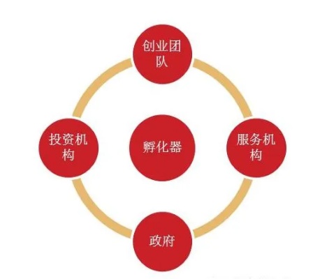 鹿优选额度调整揭秘，如何实现额度兑现与灵活调整？