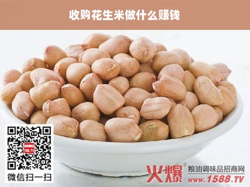 基于你给出的主要段落和内容主旨，较吸引人的、精确的标题可以描述为，“解析花生米商机，营养丰富的经济之力助商业蓬勃发展”。