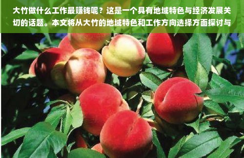 大竹县最赚钱行业解读，地域特色产业的强劲推动力与可持续发展之道