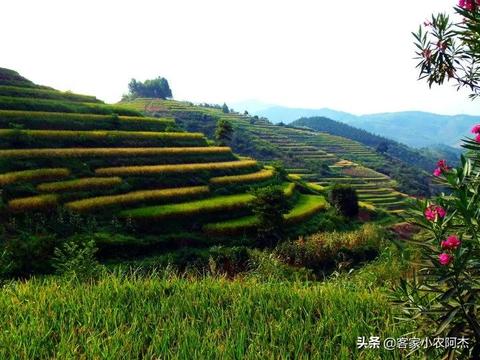 2023年广之彩UV打印机品牌排行榜及选购指南，附真实案例与避坑技巧