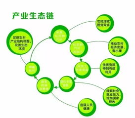 2023年广之彩UV打印机品牌排行榜及选购指南，附真实案例与避坑技巧