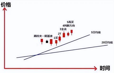超级笨的人做什么工作赚钱