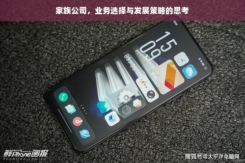 家族公司，业务选择与发展策略的思考