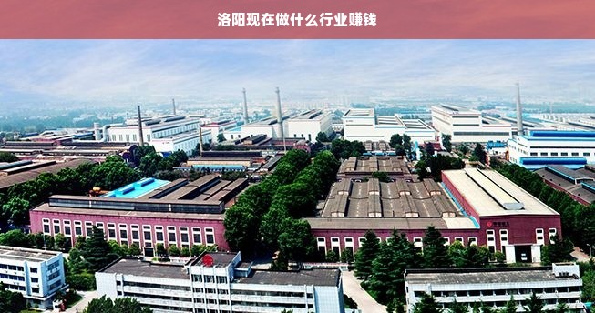 洛阳现在做什么行业赚钱
