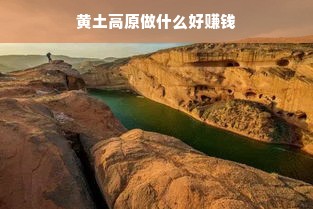 黄土高原做什么好赚钱