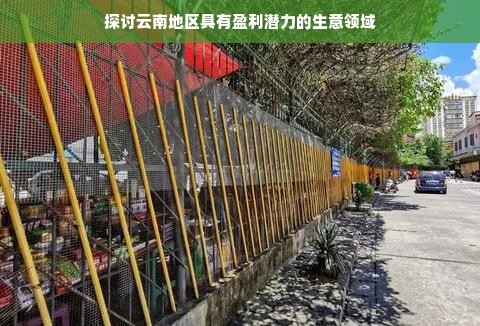 探拓者户外品牌全面解析