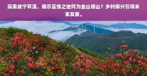 探索咸宁双溪，揭示富饶之地何为金山银山？乡村振兴引领未来发展。