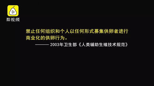 在家中自我照亮道路——女性通过哪些在家可做的事情赚取收入
