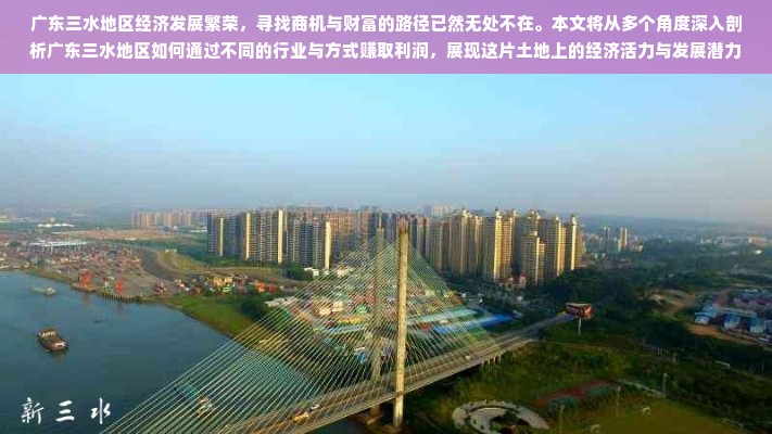 广东三水地区经济发展繁荣，寻找商机与财富的路径已然无处不在。本文将从多个角度深入剖析广东三水地区如何通过不同的行业与方式赚取利润，展现这片土地上的经济活力与发展潜力。