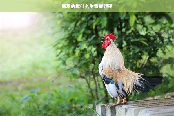 奇奇母婴品牌，品质与信赖的完美结合