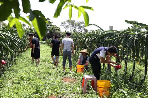 做什么销售赚钱一点，行业分析与策略探讨