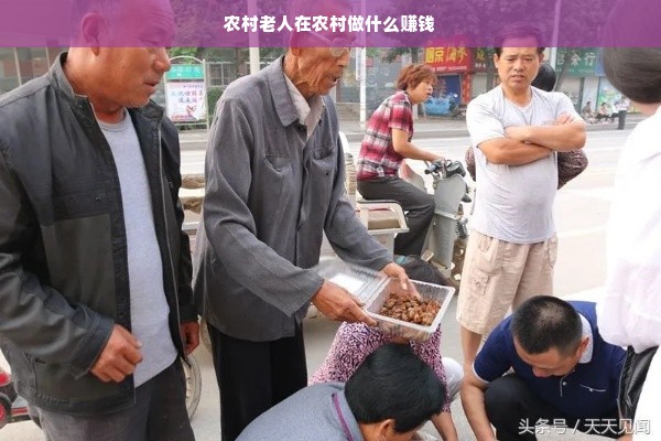 农村老人在农村做什么赚钱