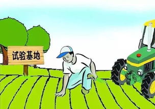 清朝时期农民财富之源——特色农产品市场行业的选择探析