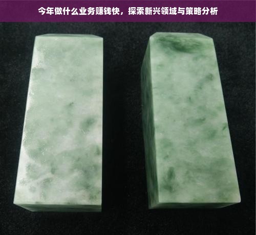 今年做什么业务赚钱快，探索新兴领域与策略分析