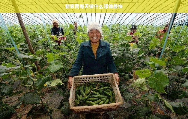 皇室贵族品牌化妆品，奢华与品质的完美融合