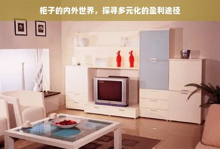 柜子的内外世界，探寻多元化的盈利途径