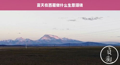 夏天在西藏做什么生意赚钱