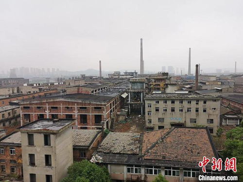蒙特利梭早教加盟，开启您的事业新篇章