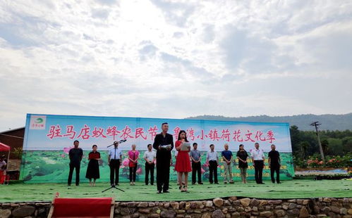 鹿优选额度兑现难题，揭秘可用额度为零的真相及解决方案