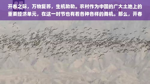 开春之际，万物复苏，生机勃勃。农村作为中国的广大土地上的重要经济单元，在这一时节也有着各种各样的商机。那么，开春农村做什么生意赚钱呢？以下将从多个方面进行探讨和联想拓展。