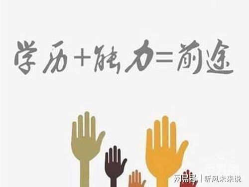 羊小咩便荔卡包额度操作指南，如何查看及有效使用额度