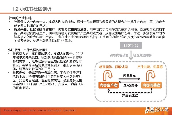 小红书平台各行业盈利潜力深度解析，时尚美妆与生活方式的商机