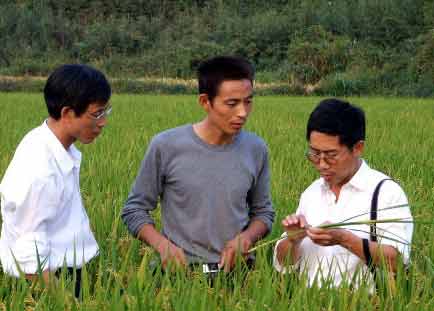 湖北农民做什么赚钱的工作