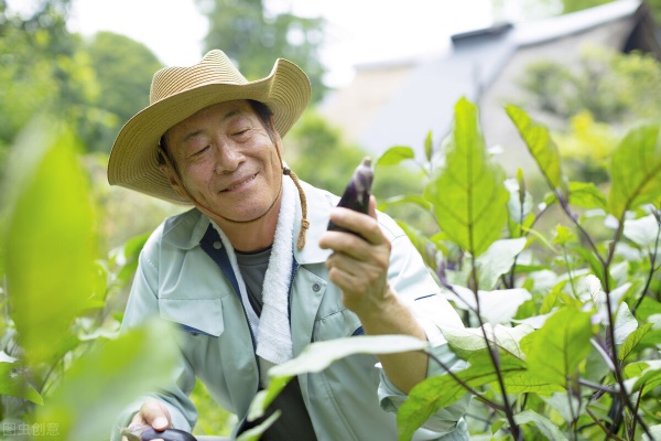 京东白条额度套现与还款策略全解析
