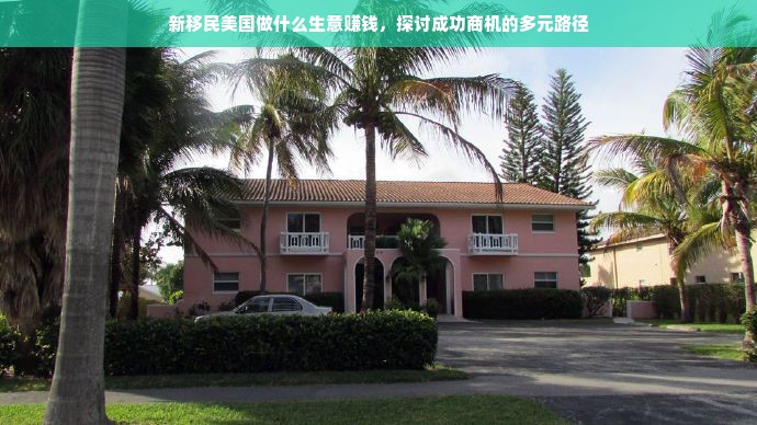 新移民美国创业指南，热门行业与成功策略