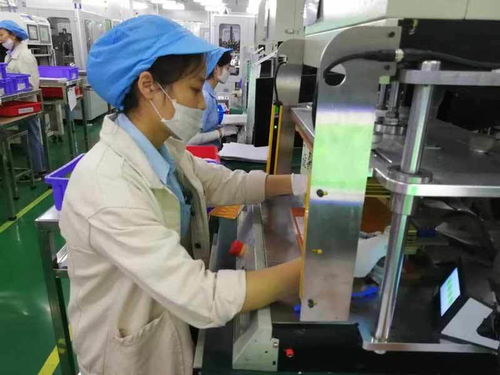 葫芦岛早教加盟品牌店，育婴新航向，共创美好未来