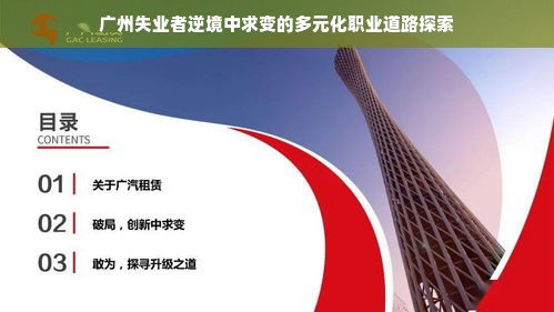 京东白条免费提现额度使用指南，轻松掌握，优惠享不停