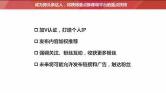 全国干洗店品牌大揭秘，从老字号到新锐品牌，你的衣橱管家指南