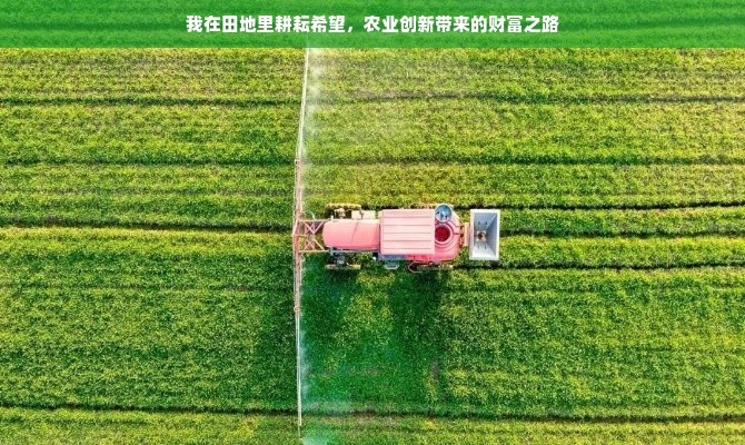 中国出口医药品牌排行，热门医药品牌的国际影响力与成功案例