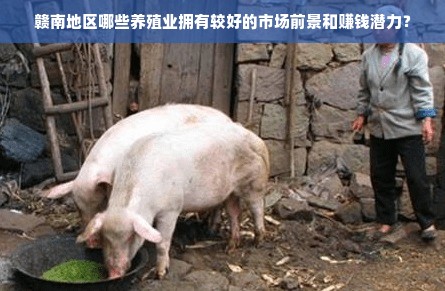浙江云南早教加盟机构，携手共创美好未来教育之路