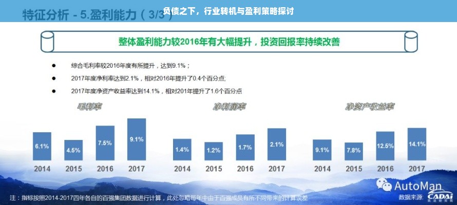 负债之下，行业转机与盈利策略探讨