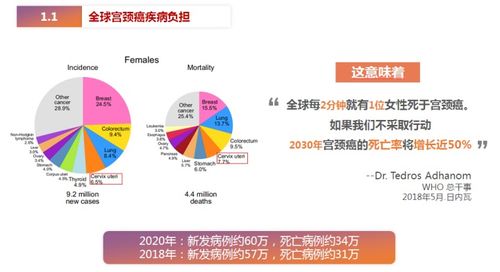母婴卫生纸品牌解析，选购与使用的全方位解读