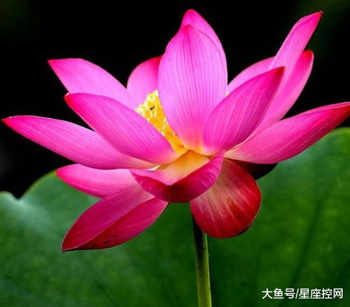 广东家电批发品牌深度解析