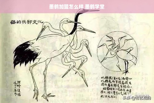 淘宝先用后付额度操作详解，商家如何提升额度？用户如何查看原始额度？