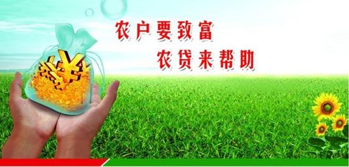 香坊规模大连锁早教加盟，打造未来教育新纪元