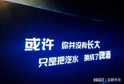 新时代下的创业致富之路，探索最佳创业方向与赚钱策略