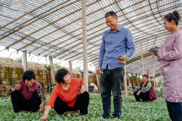 2023年白酒价格大洗牌，这些品牌降价超30%消费者该抄底还是谨慎？