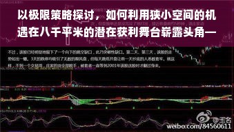 鹿优选额度大揭秘，看看你能拿多少！