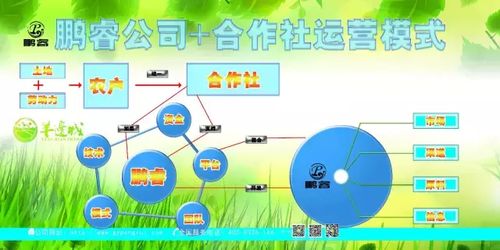 甘肃中医药品牌，传承与发展的璀璨明珠