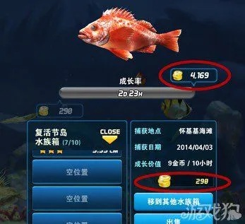 钓鱼赚钱，探寻任务之路