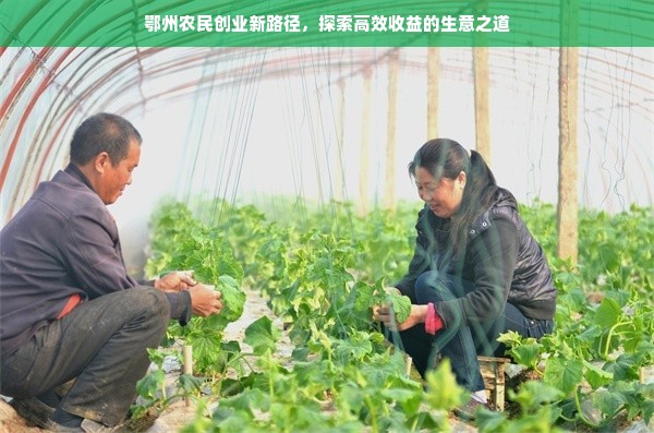 鄂州农民创业新路径，探索高效收益的生意之道